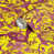 Surligneur / mauve vif