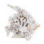 Coral Look Angelfish  11" x 6.5" x 10"  White
