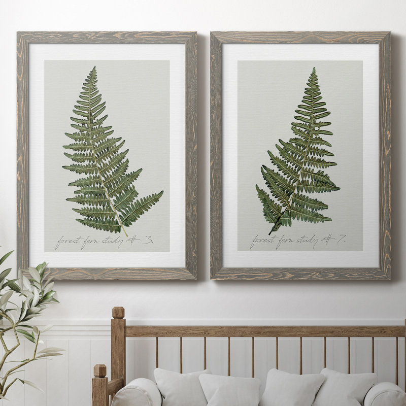 " Fern Studies I " 2 - Pieces, Grey Framed Canvas, No Mat, 37.5" H x 27.5" W x 1" D