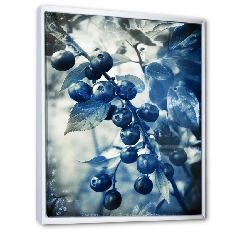 Wild Berries Blue Vintage Botanical - reproduction d'art sur toile, Cadre flottant blanc, H 44 po x l 34 po x P 1,5 po