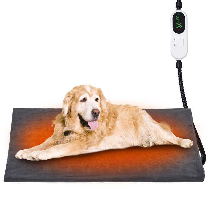 Linzy Pet Bed Cushion, 5cm L x 70cm W