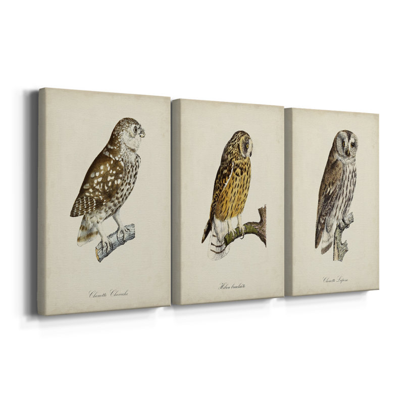 French Owls I - Toile tendue avec châssis sur mesure - 3 pièces, H 48 po x l 96 po