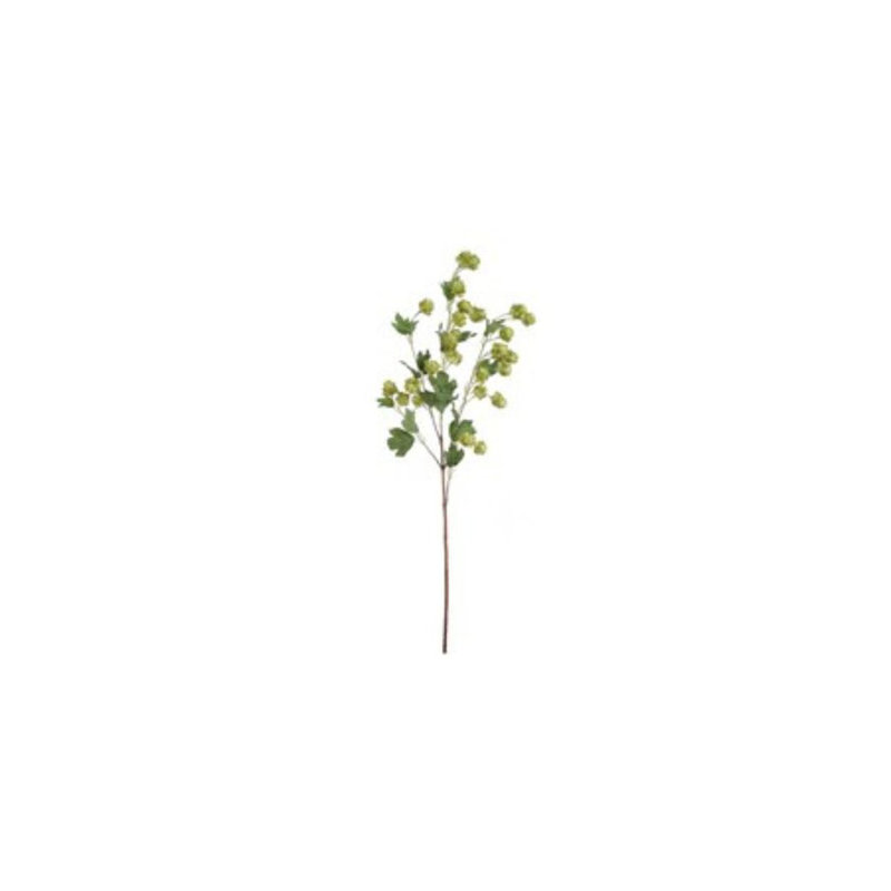 Vaporisateur Green Silk Baby Hop