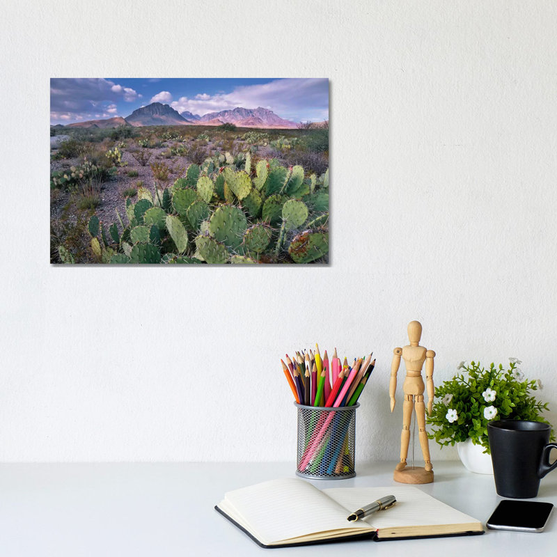 Opuntia Cactus, Chisos Mountains, Big Bend National Park, Chihuahuan Desert, Texas I by Tim Fitzharris - Wrapped Canvas Print