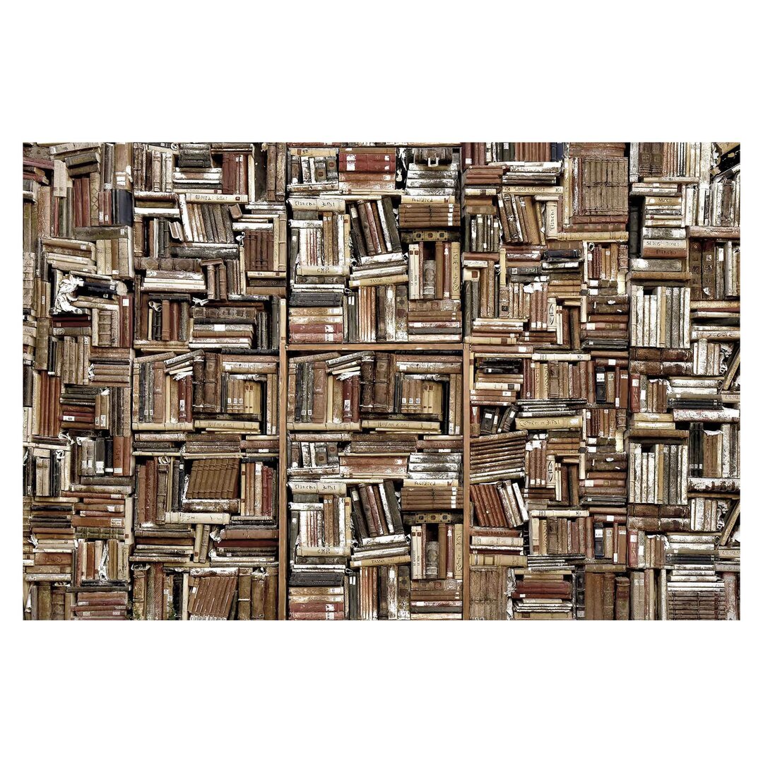 Strukturierte Tapete Shabby Book Wall 3,2 m x 480 cm