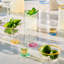 Harriet Shot Glass Assorted