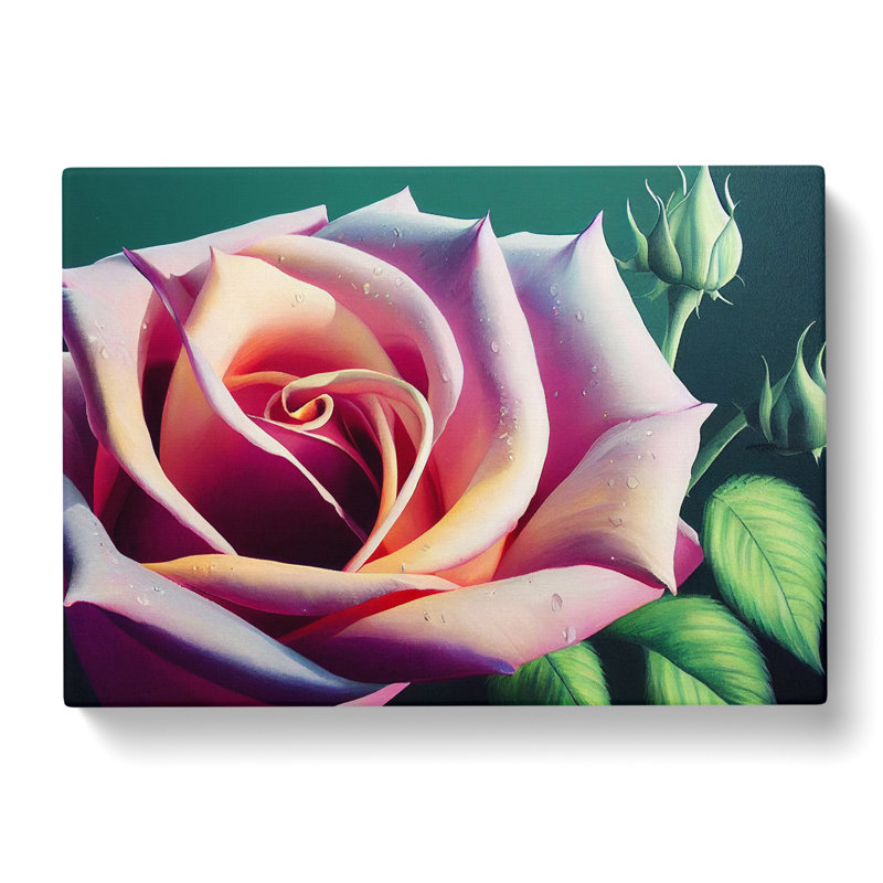 Exceptional Rose Flower - Wrapped Canvas, 35cm H x 50cm W x 3cm D