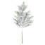 Snowy Cedar Spray-1411585855