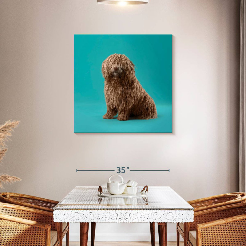 Crowle Komondor Dog, 36" H x 36" W