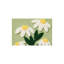 Paillasson Daisy