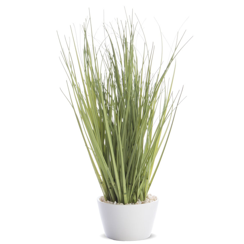 Faux Evergreen Grass in Pot, 25cm H x 14cm W x 14cm D, Green