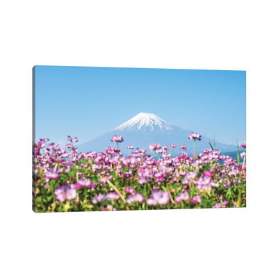 Mount Fuji In Spring With Purple Cosmos Flowers, Shizuoka Prefecture, Honshu, Japan by Jan Becke - Wrapped Canvas Print