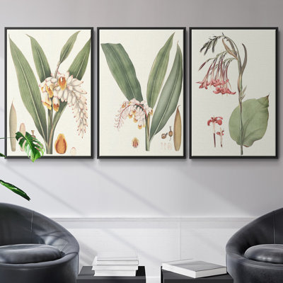 «Soft Tropical I», ensemble de 3 toiles encadrées