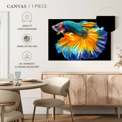 Multicoloured Betta Fish