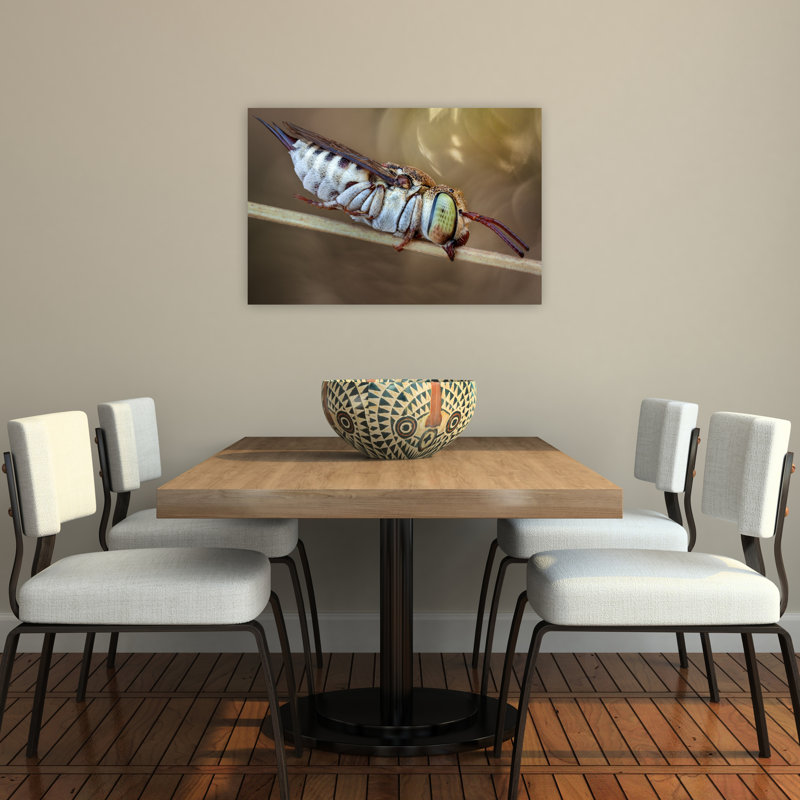 Abeille rayée au repos - Affiche contemporaine d'abeille, H 24 po x l 36 po