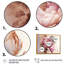 «Pink and Gold Rose I», reproduction sur toile-319035106-319035117