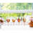 Pols 10 oz. Drinking Glass Set