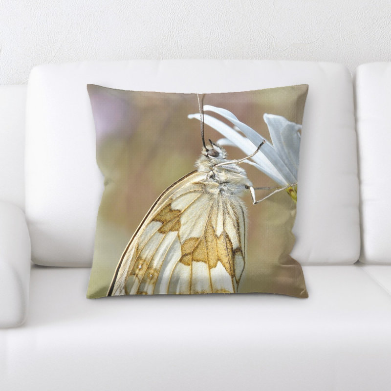 Coussin décoratif papillon