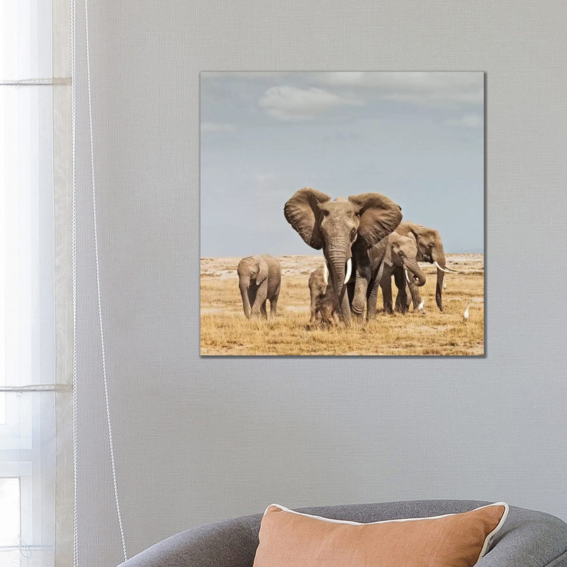 Colour Elephant Herd by Klaus Tiedge - Print on Canvas, 66.04 cm H x 66.04 cm W, Wrapped Canvas