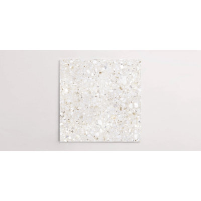 Forage 24" x 24" Matte