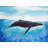Blue Whale Braided Polyester Placemat | Marine Home Decor