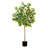 60'' Faux Tangerine Tree in Pot Liner