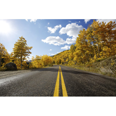 Autumn Highway by Beklaus