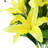 Artificial Lily