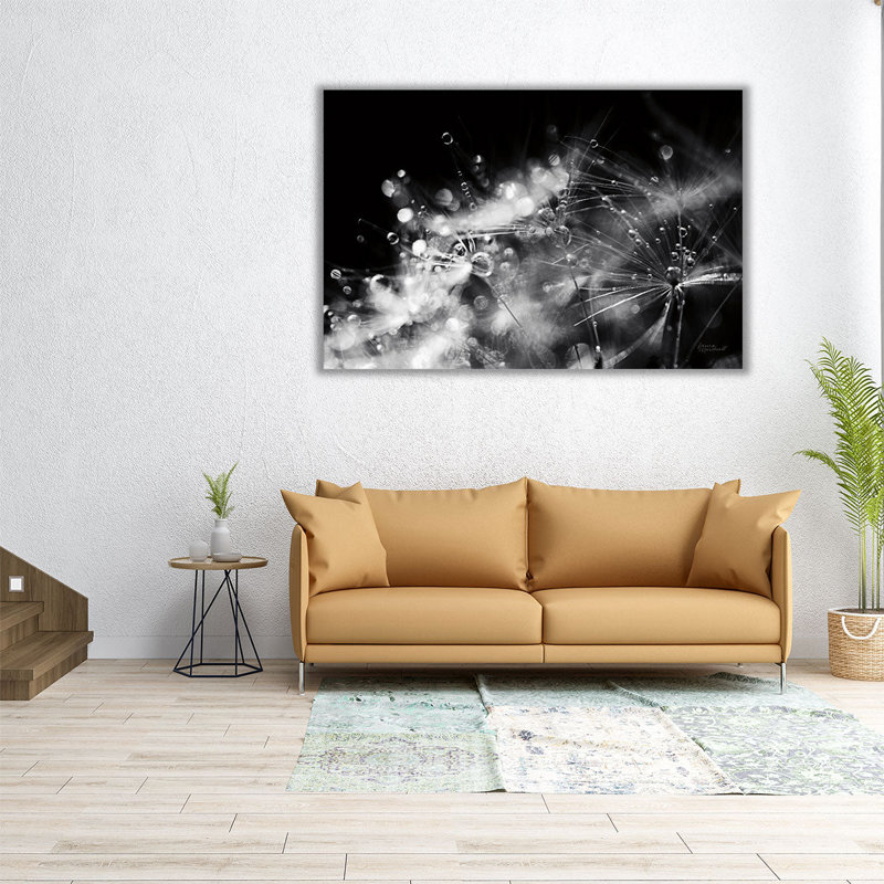 «Dandelion Abstract II Black and White», reproduction d'art sur toile, H 12 po x l 18 po