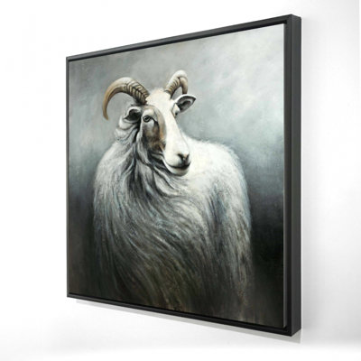 " Cashmere Goat "
