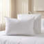 Oreiller luxueux en duvet d'oie naturelle de style hôtel - housse 100% coton, plus de 1000 bourre, peluche et soutien, taille standard / grand (ensemble de 1)-1477167681-1496878430-1496878424