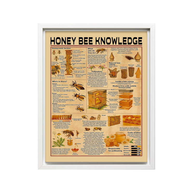 Connaissance de l'abeille, Canvas, White Framed, 11"H x 14"W