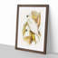 Crested Cockatoos by Elizabeth Gould - Picture Frame Painting Print-55490572-55490568