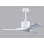 Nan 42" Ceiling Fan In Blades-1662758410-1611395847