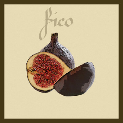 Italian Fruit VI - Wrapped Canvas Painting