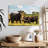 Brampt Grazing Angus Cows-107868866
