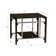 Cecilio One Shelf Two Tone Metal and Glass End Table