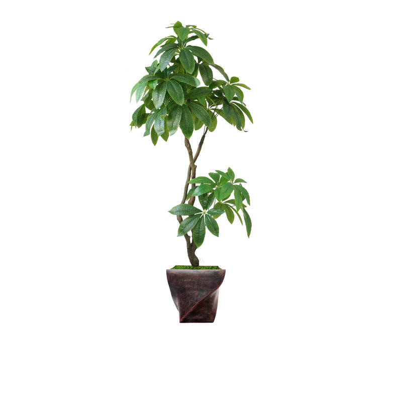 Pachira artificiel en pot 81,5 po Panama
