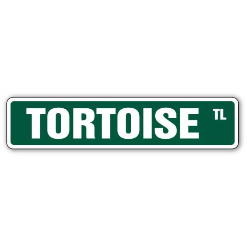 Fête des tortues de tortue