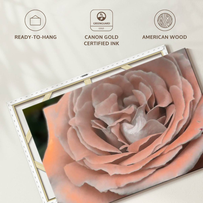 Soft Petal Rose, 34" H x 51" W