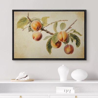 Fruits " Print Peach Fruit Watercolor "