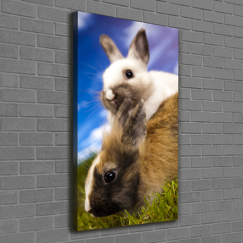 Two Rabbits - Wrapped Canvas Print