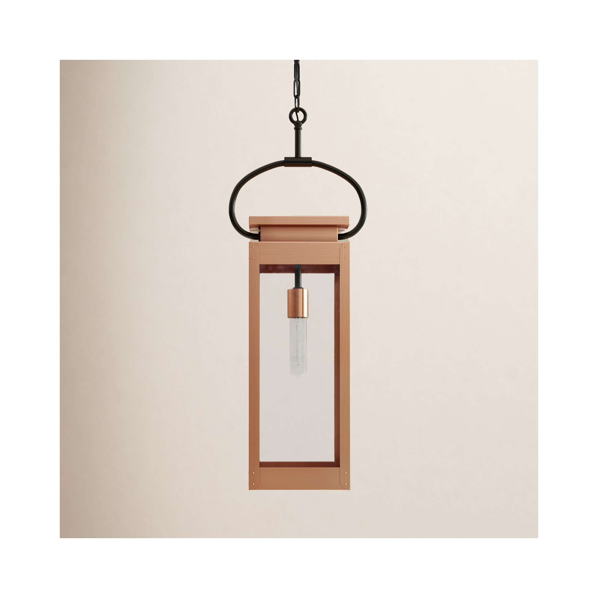 Ginseng Transparent Outdoor Hanging Lantern