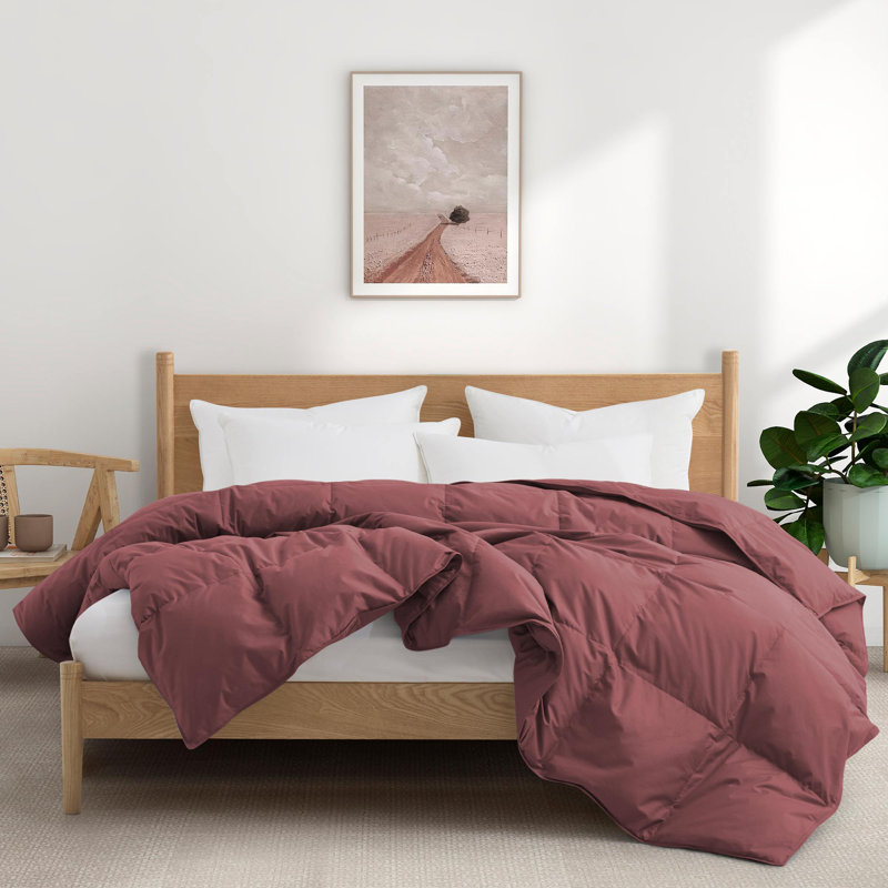 All Season Cotton Down Comforter/Duvet Insert, Queen Comforter, Red