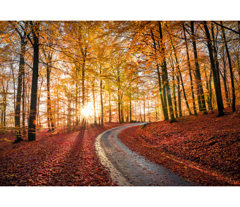 Wrapped Canvas Print, 50.8cm H x 76.2cm W