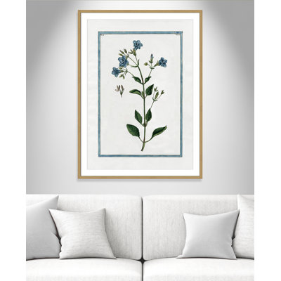 Colombe Shabby Elegance Botanical II - Art encadré