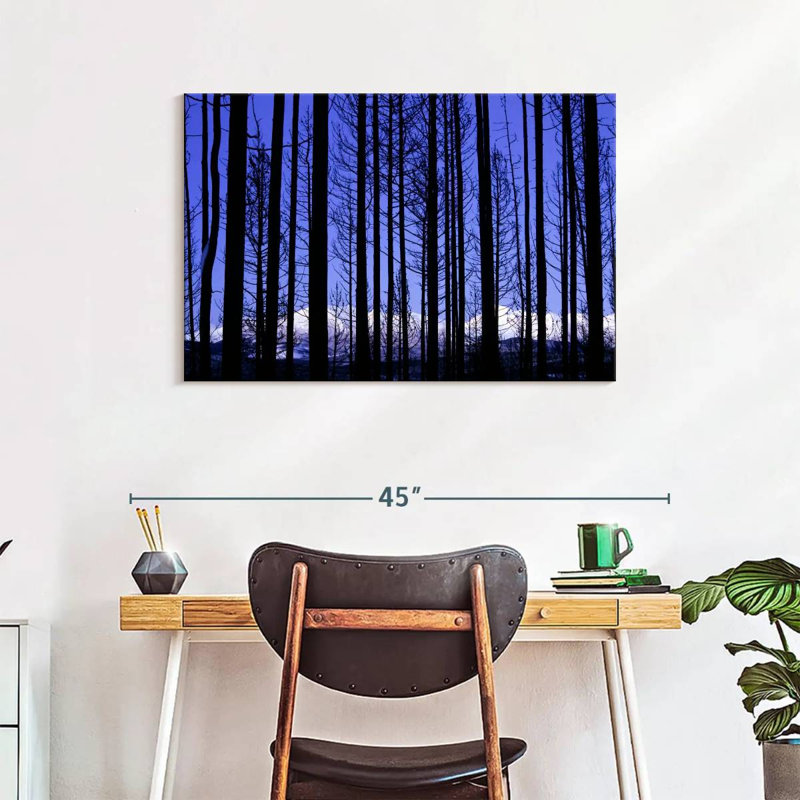 Arbres du parc national Harnek Glacier, H 24 po x l 36 po