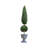 Faux Evergreen Topiary in Vase-1007640171