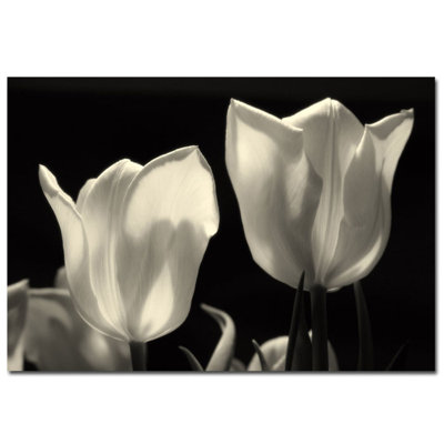 « tulipes », reproduction de photo sur toile tendue