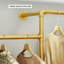 Portemanteau Gold